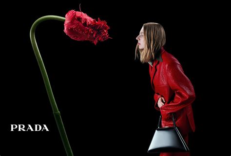 prada flowers milan|Prada F/W 2023 campaign: “In conversation with a flower”.